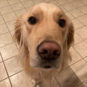 Meet your Posher, Addyson